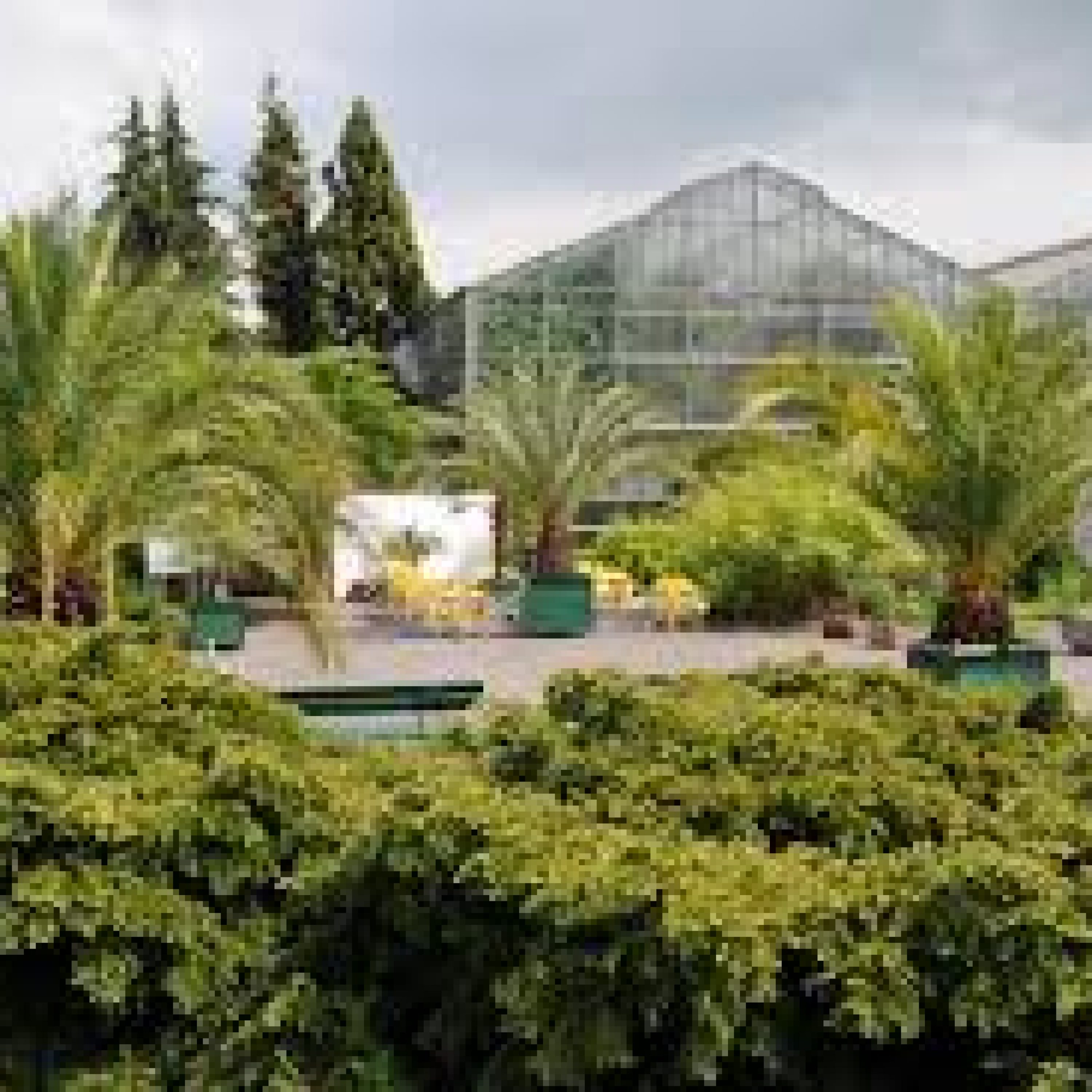 Botanischer Garten der Philipps-Universität Marburg