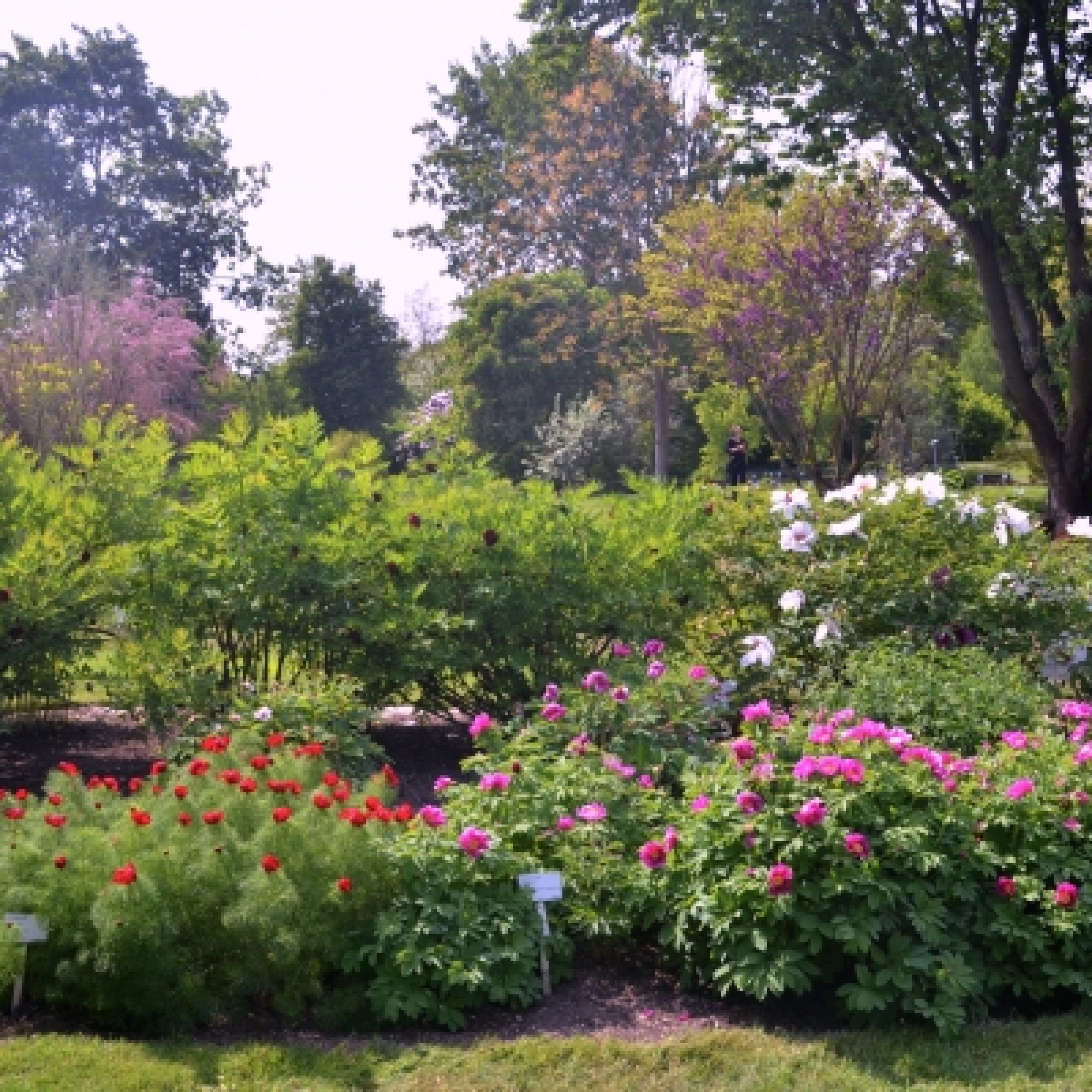 Botanischer Garten der Universität Regensburg