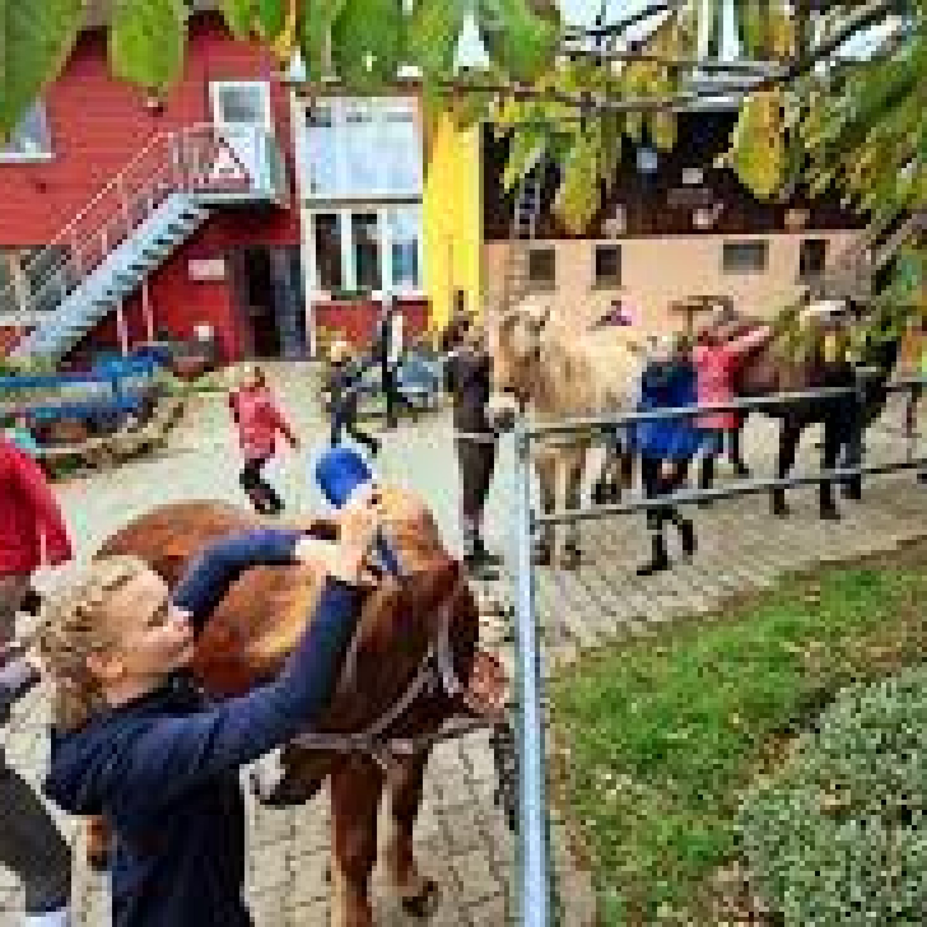 Jugendfarm Böblingen